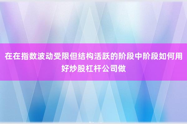 在在指数波动受限但结构活跃的阶段中阶段如何用好炒股杠杆公司做