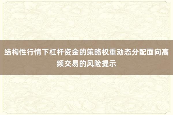 结构性行情下杠杆资金的策略权重动态分配面向高频交易的风险提示