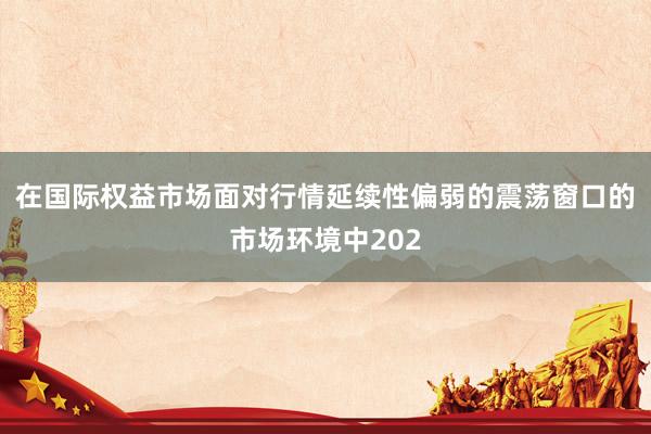 在国际权益市场面对行情延续性偏弱的震荡窗口的市场环境中202