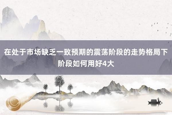 在处于市场缺乏一致预期的震荡阶段的走势格局下阶段如何用好4大